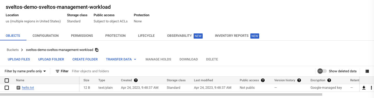 Google Cloud Storage Bucket